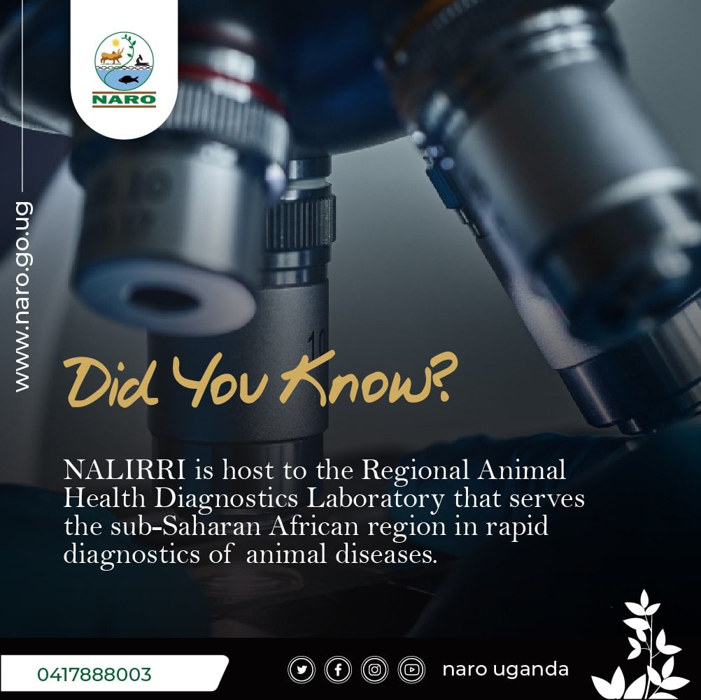 The National Livestock Resources Research Institute (NaLIRRI) is one of ...