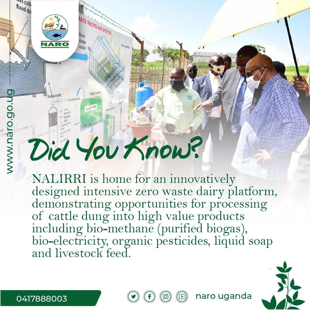 The National Livestock Resources Research Institute (NaLIRRI) is one of ...
