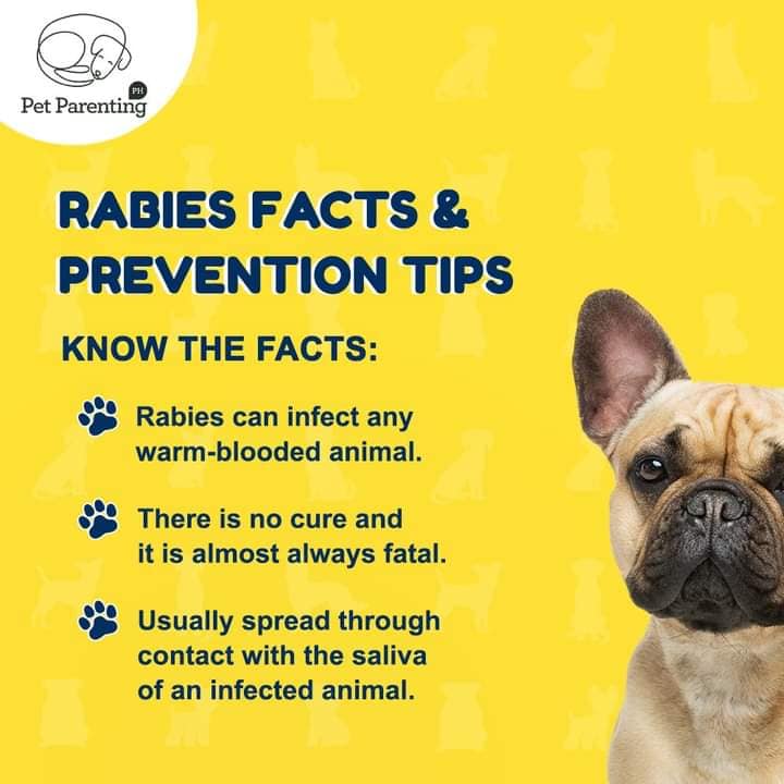 RABIES FACTS AND PREVENTION TIPS... - Pet Paradise Roxas City