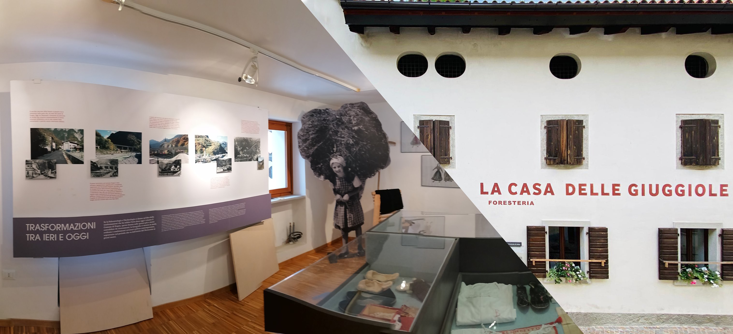 Museo Della Biodiversità added... - Museo Della Biodiversità