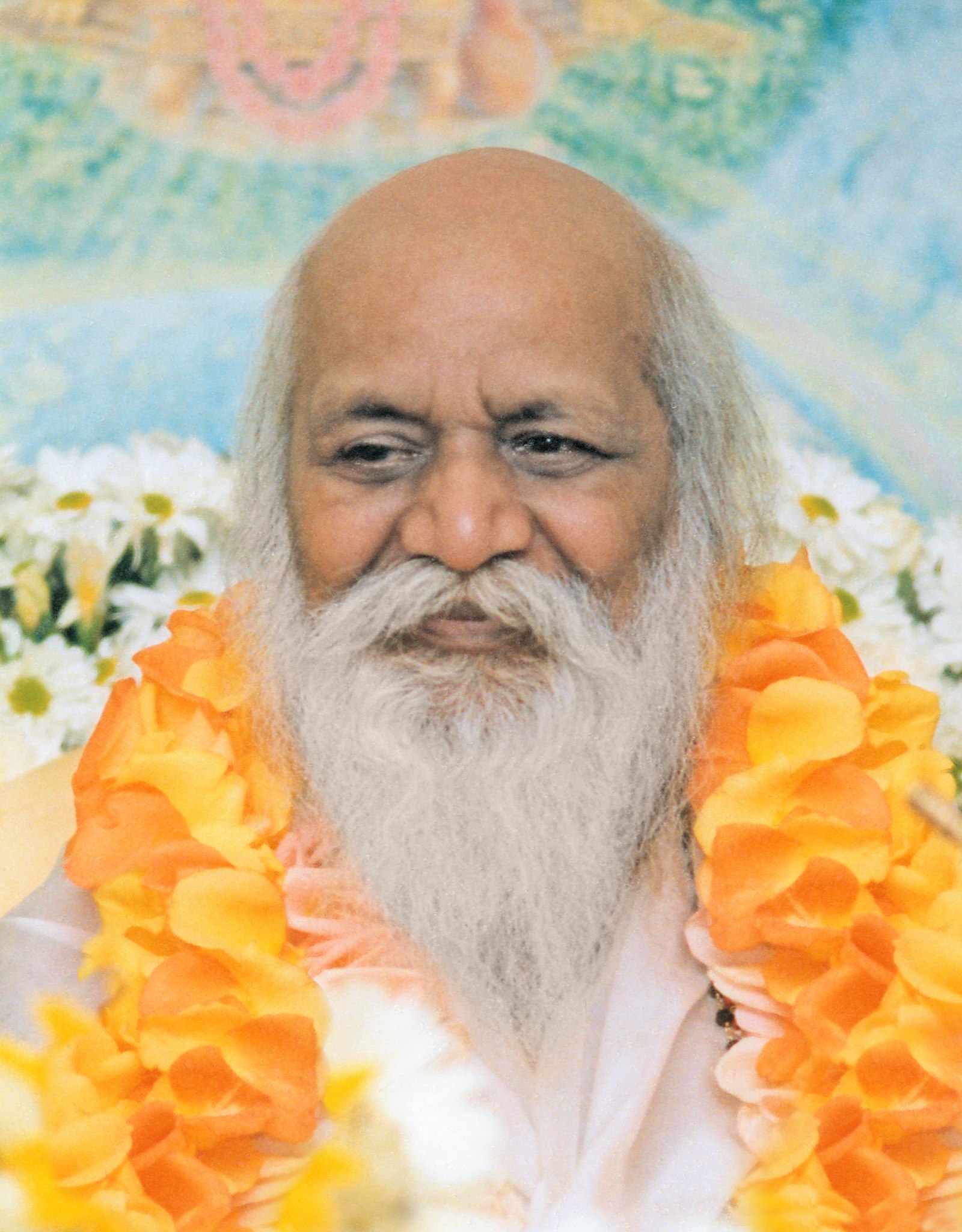 Maharishi - Celebrating 12th January 2015 