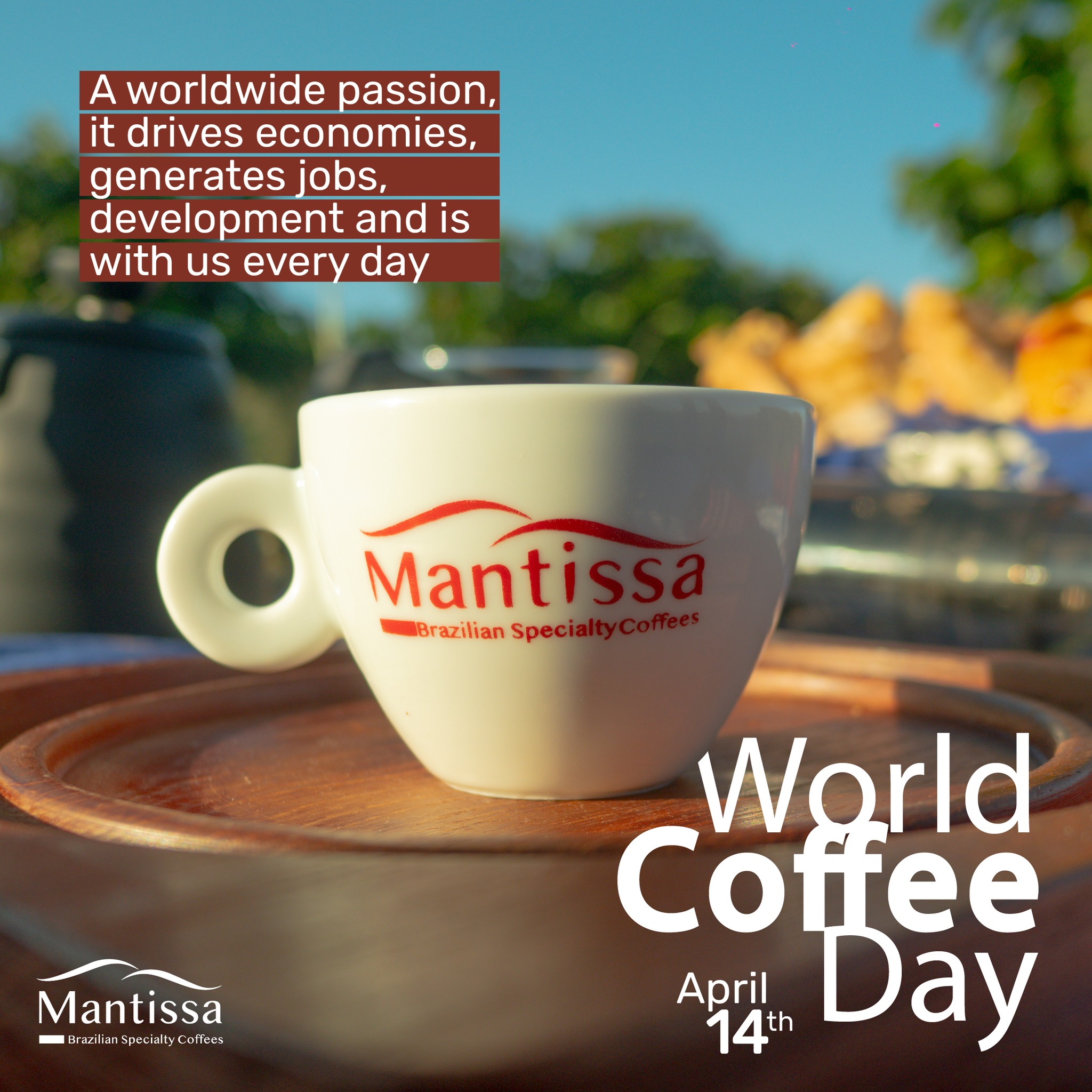 Mantissa Specialty Coffees | Campestre MG