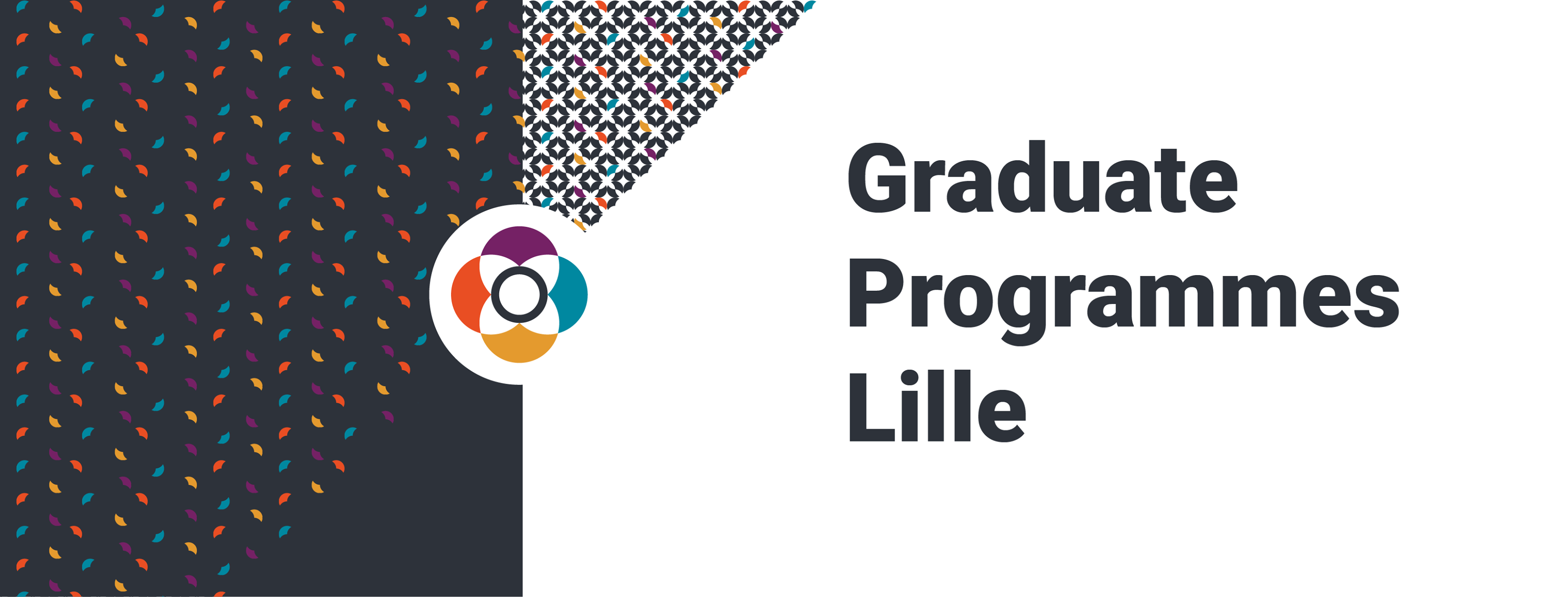 graduate-programmes-in-lille-lille
