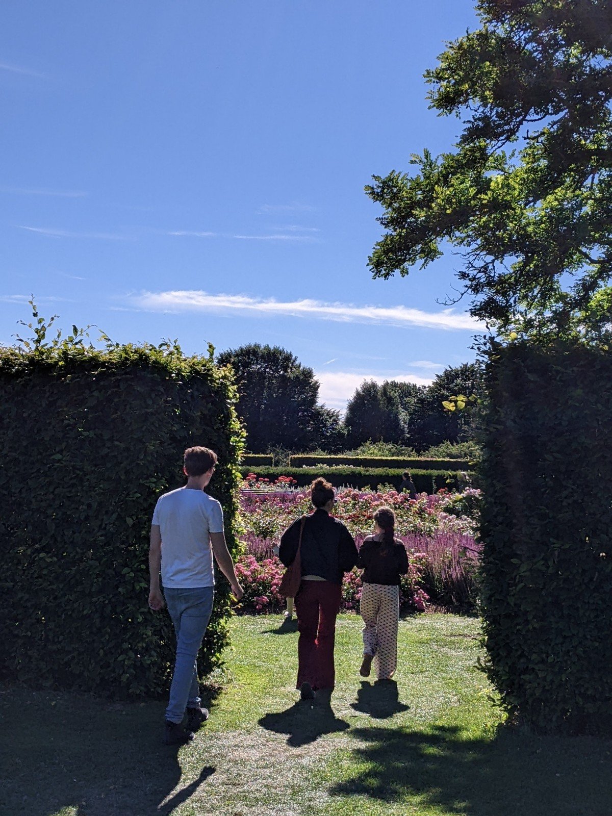 Valby玫瑰園 哥本哈根南邊的維爾比公園(Valby... - Taiwan in Denmark 駐丹麥台北代表處