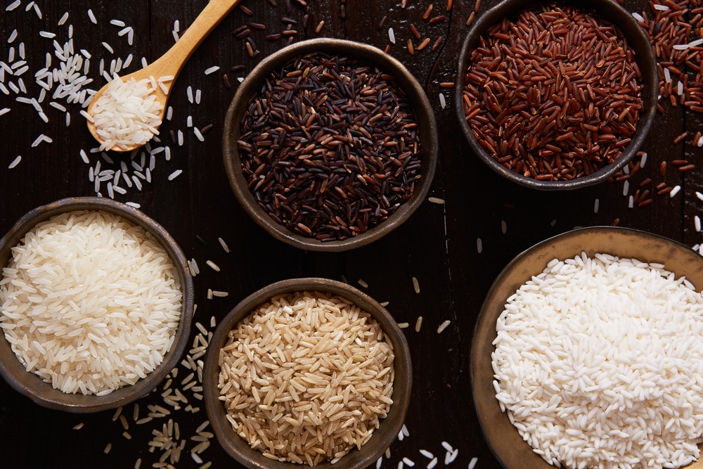 Rice Yard | Ponda
