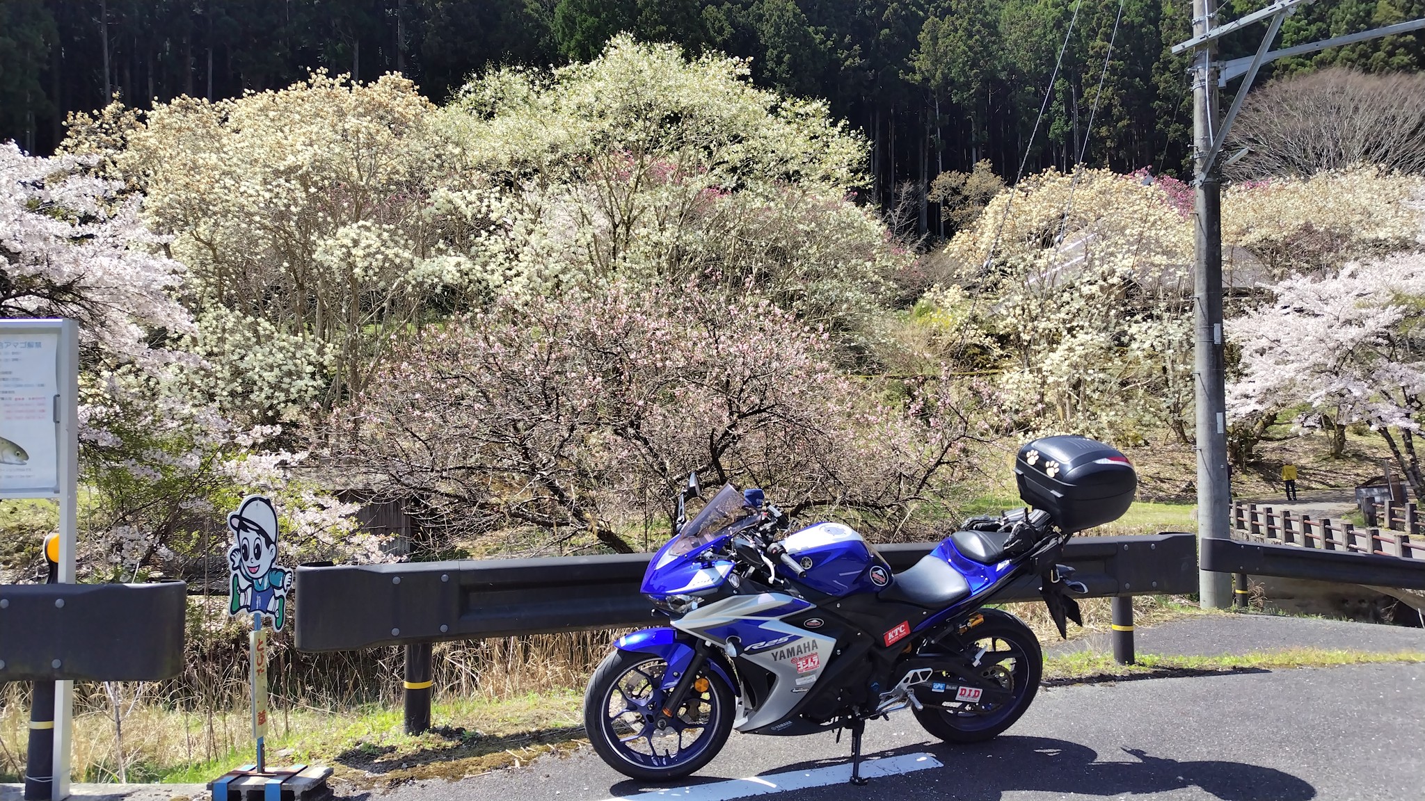 YAMAHA YZF-R25/YZF-R3/MT-25/MT-03 japan | yzf-r25にエラーコード46が点灯してしまいました ...