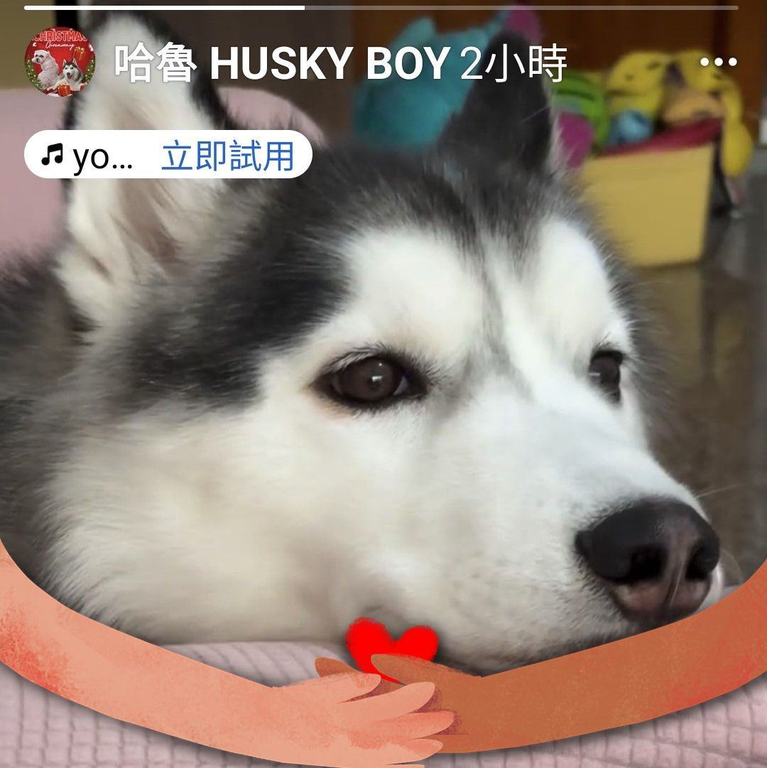 林心琳