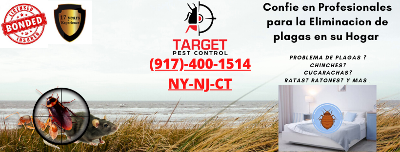 Target Bugs Pest Control