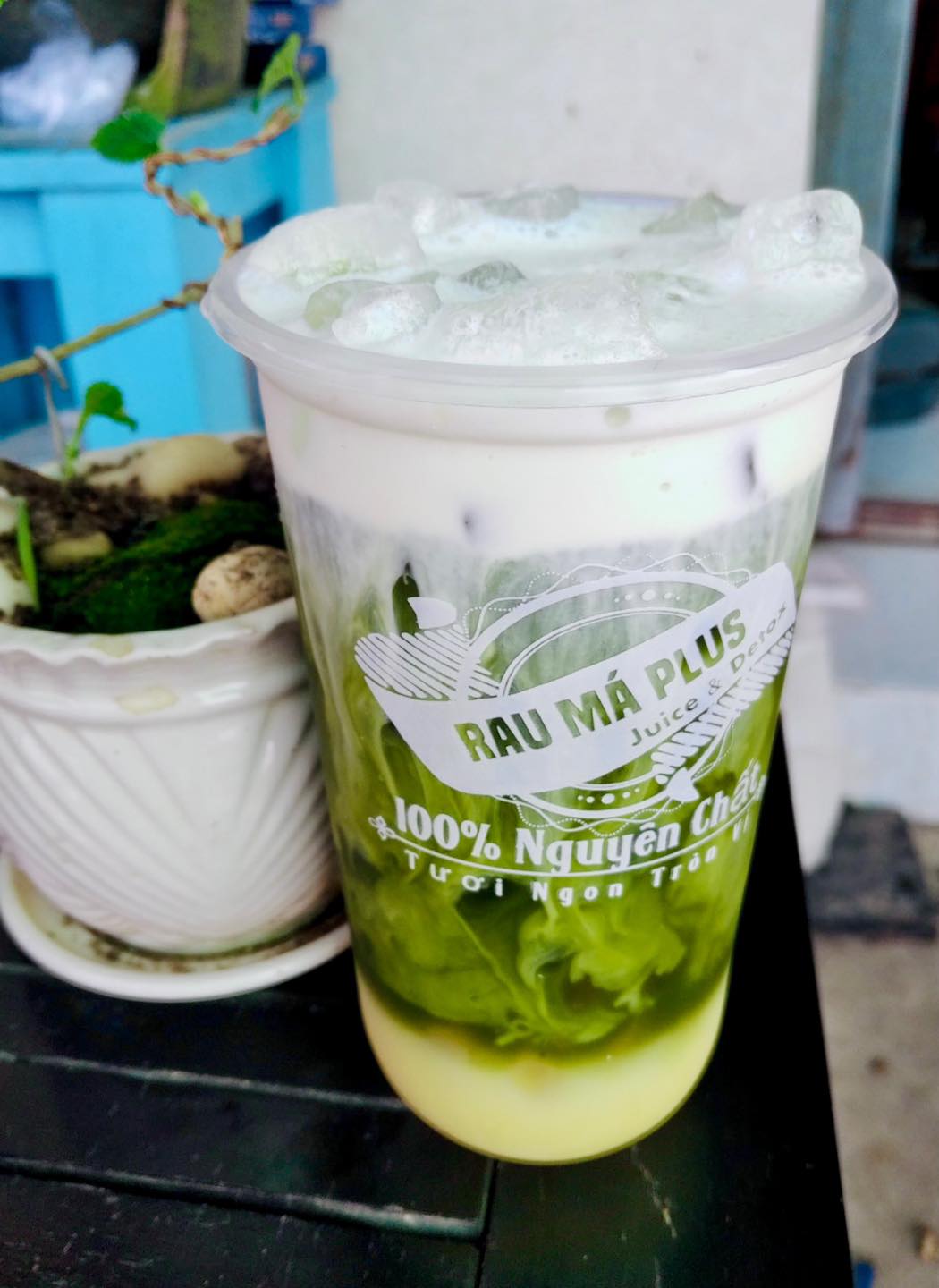 🍀 Rau má đậu xanh macchiato là... - Rau Má Plus-Juice & Detox | Facebook