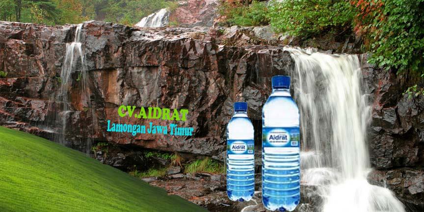 Cv aidrat | Paciran