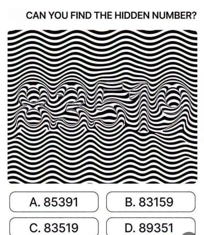 Which of these is the hidden number?