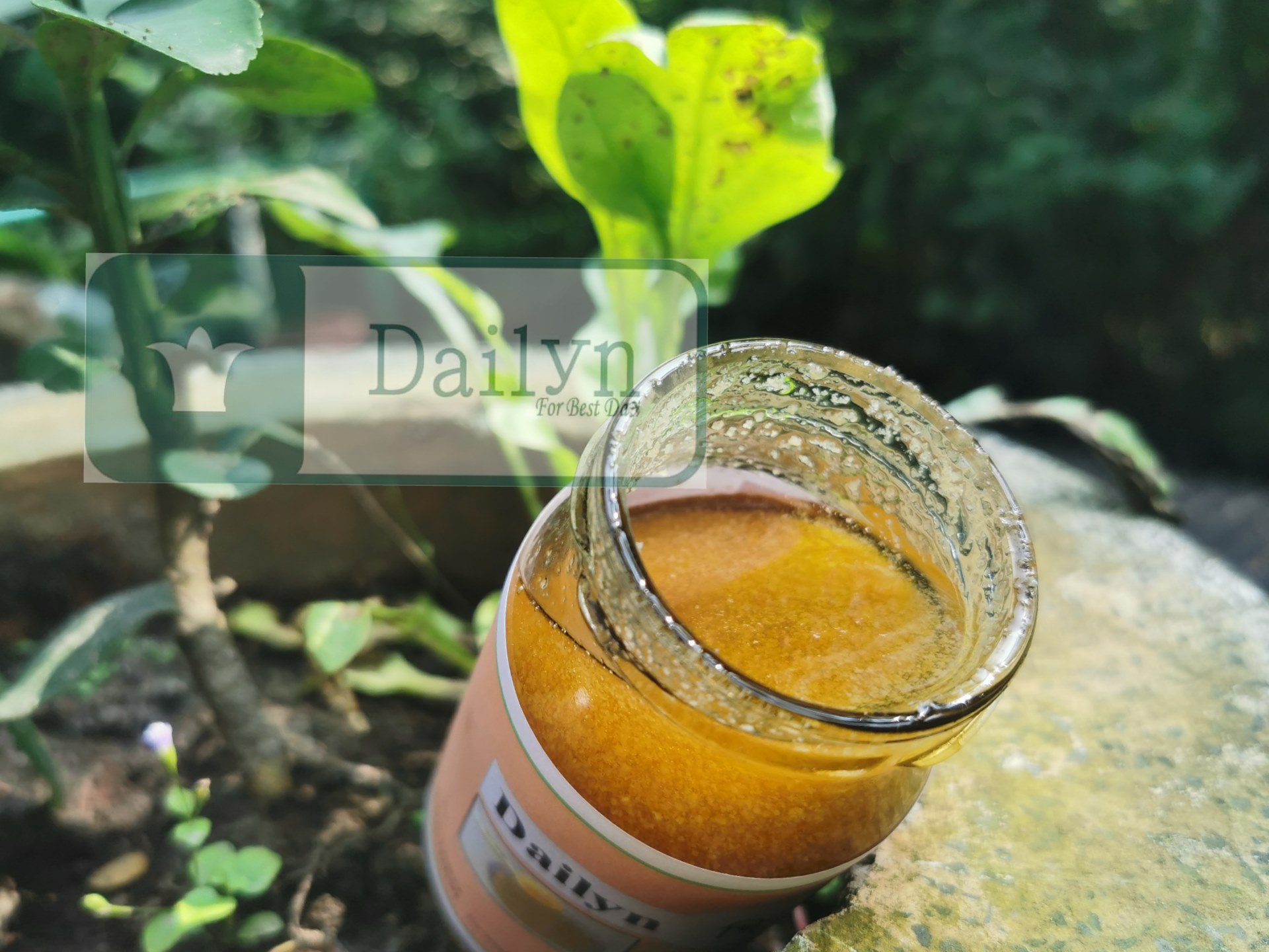 Dailyn-ডেইলিয়ান | Dhaka