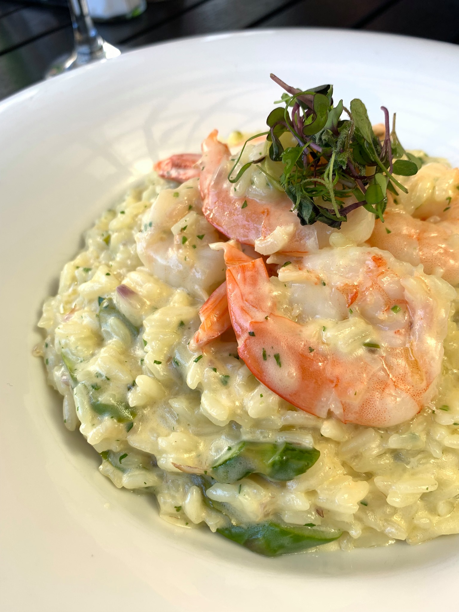 Spizzigo - When's the last time you saw a Risotto this good? 🤩 We know ...