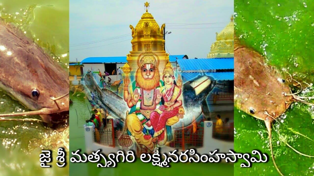 శ్రీ శ్రీ శ్రీ గాయత్రీ... - శ్రీ శ్రీ శ్రీ గాయత్రీ మహా పీఠం