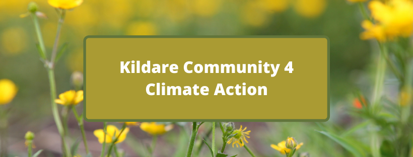 Kildare Community 4 Climate Action