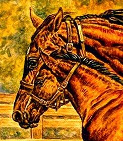 American Saddlebred Horse Association of Ohio | When doing 