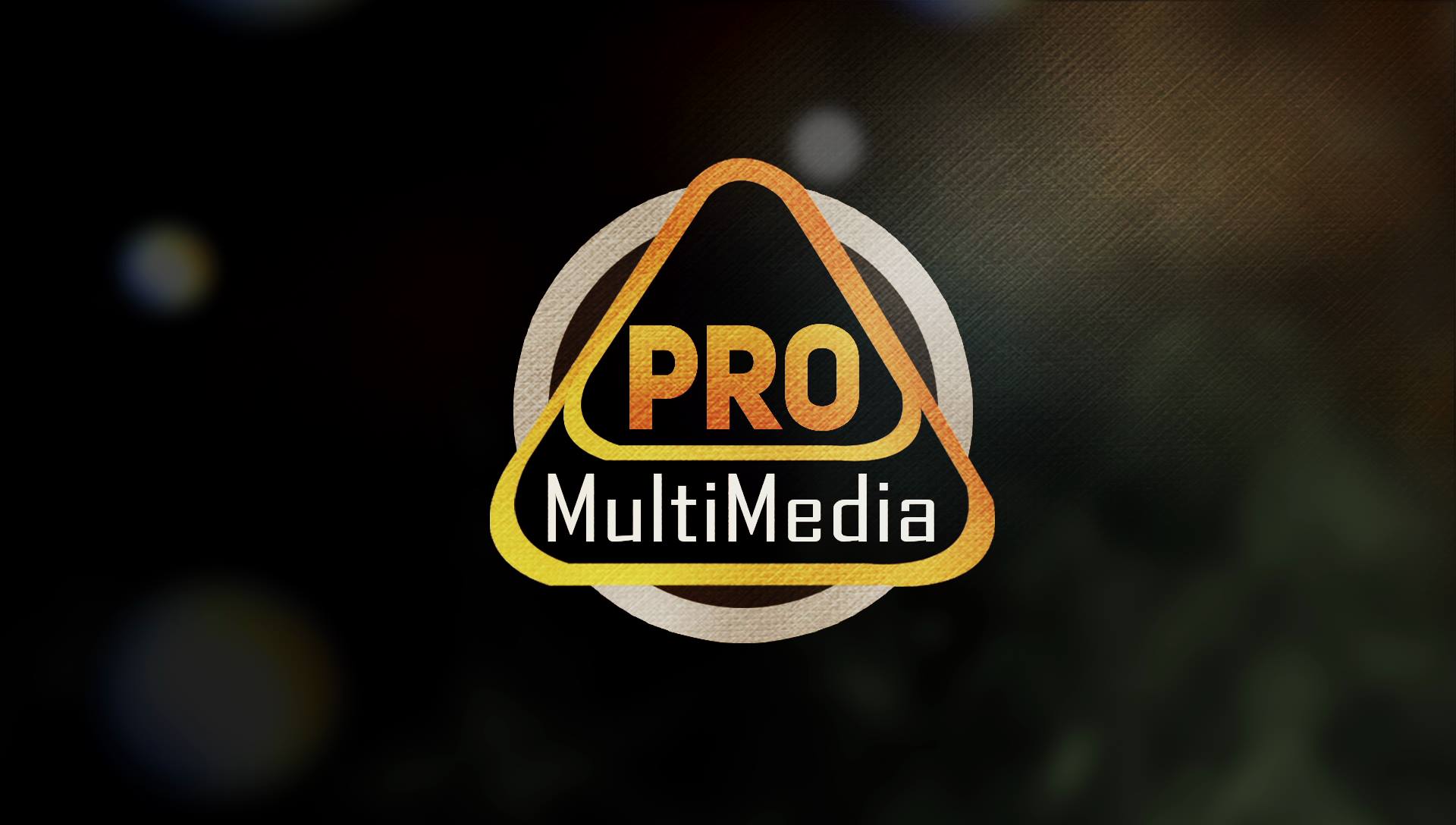 Pro Multimedia