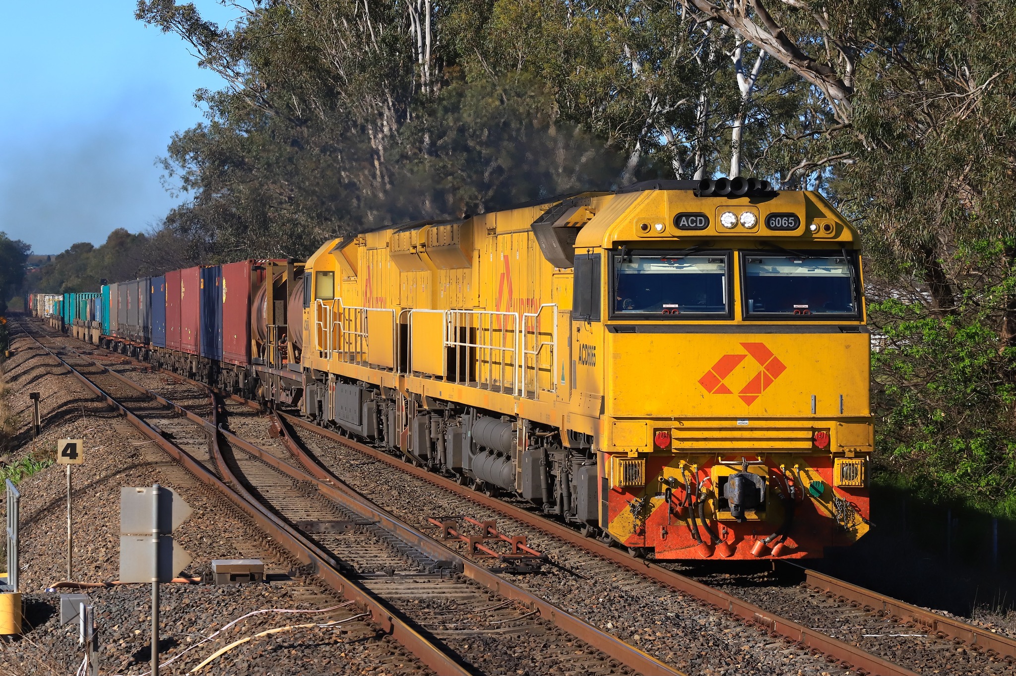 Trains at Menangle Park and Doonside