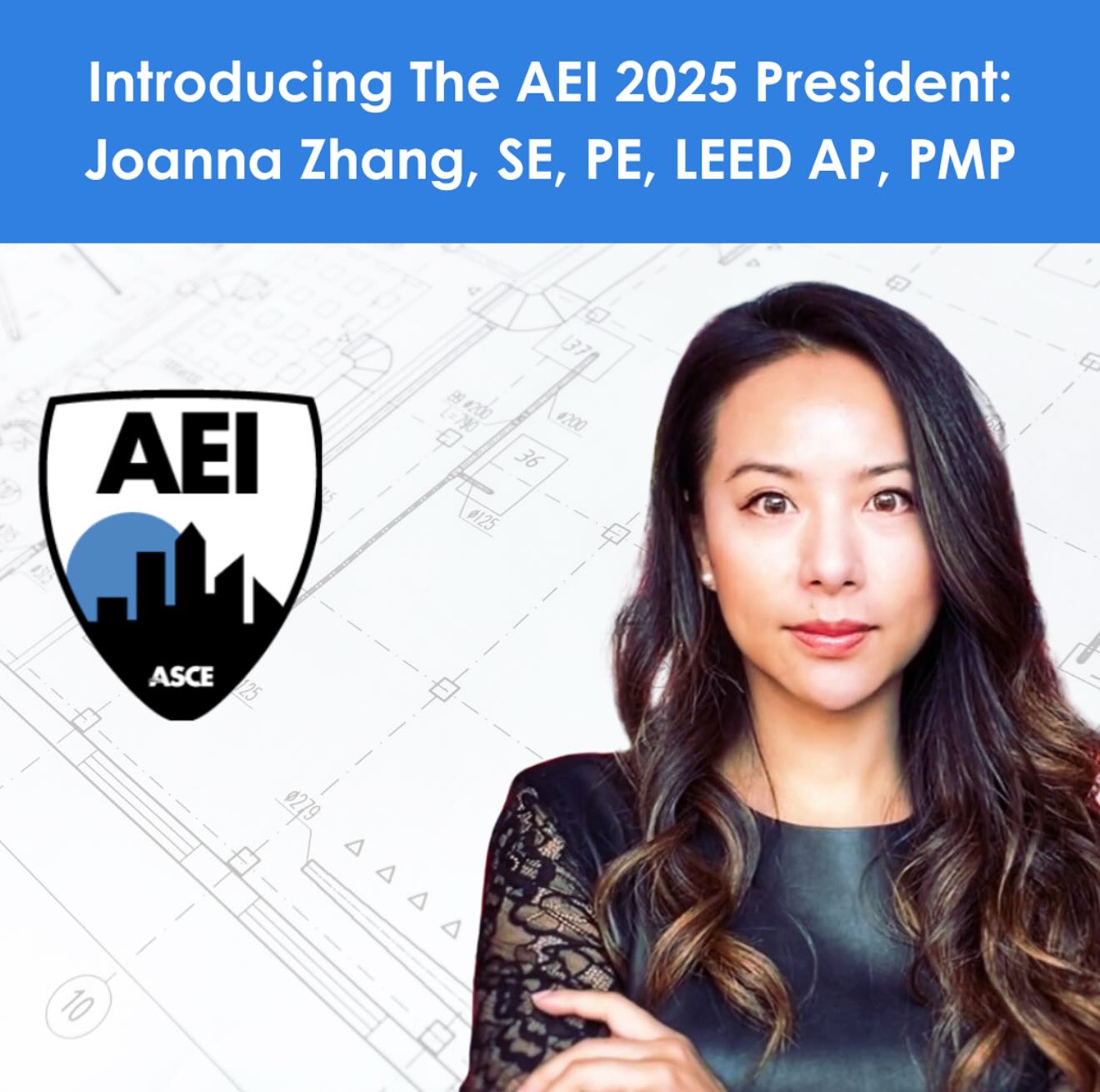 Architectural Engineering Institute of ASCE | Reston VA