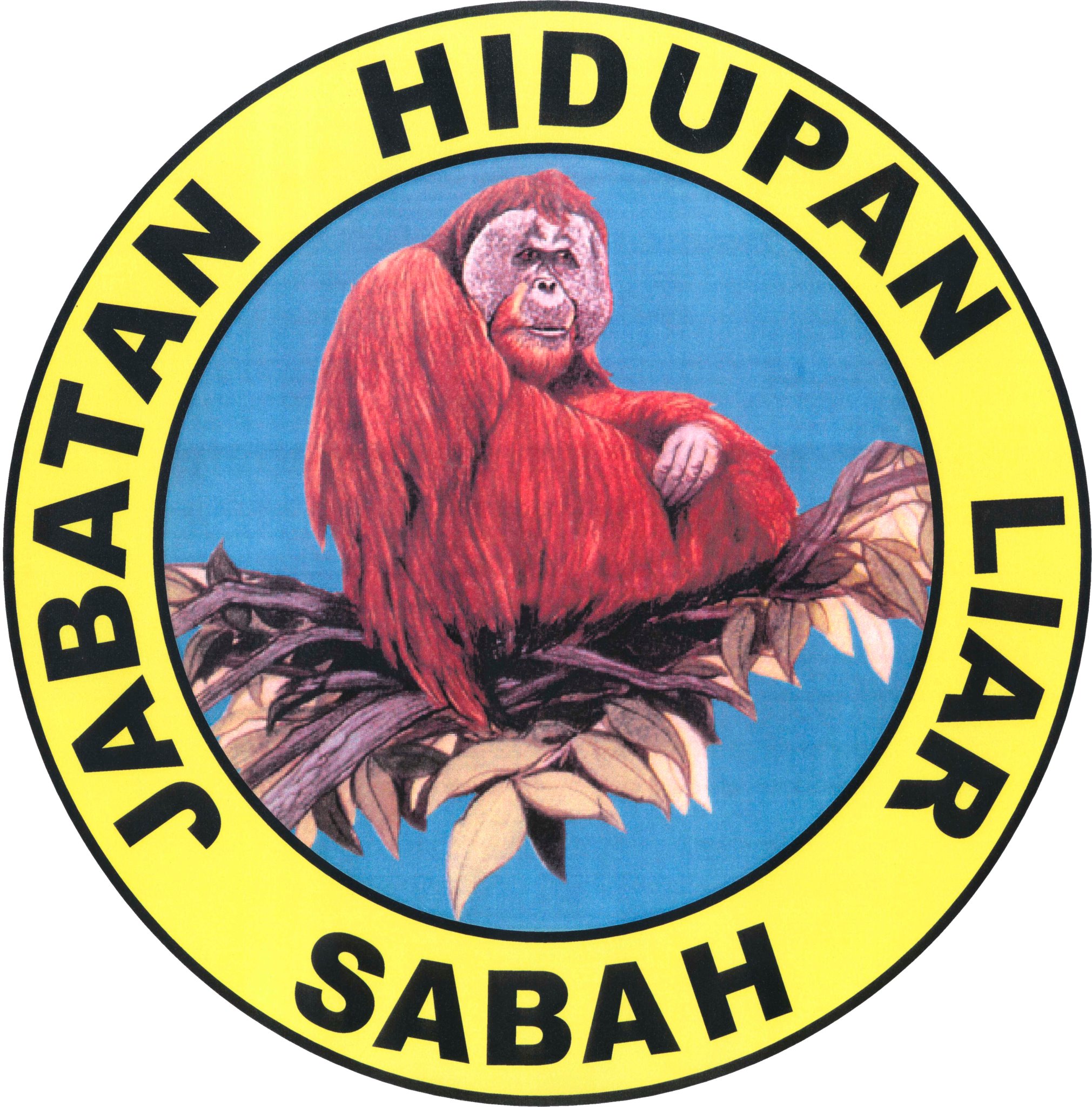 Persatuan Industri Sarang Burung Walet Sabah (SABA) - Home 