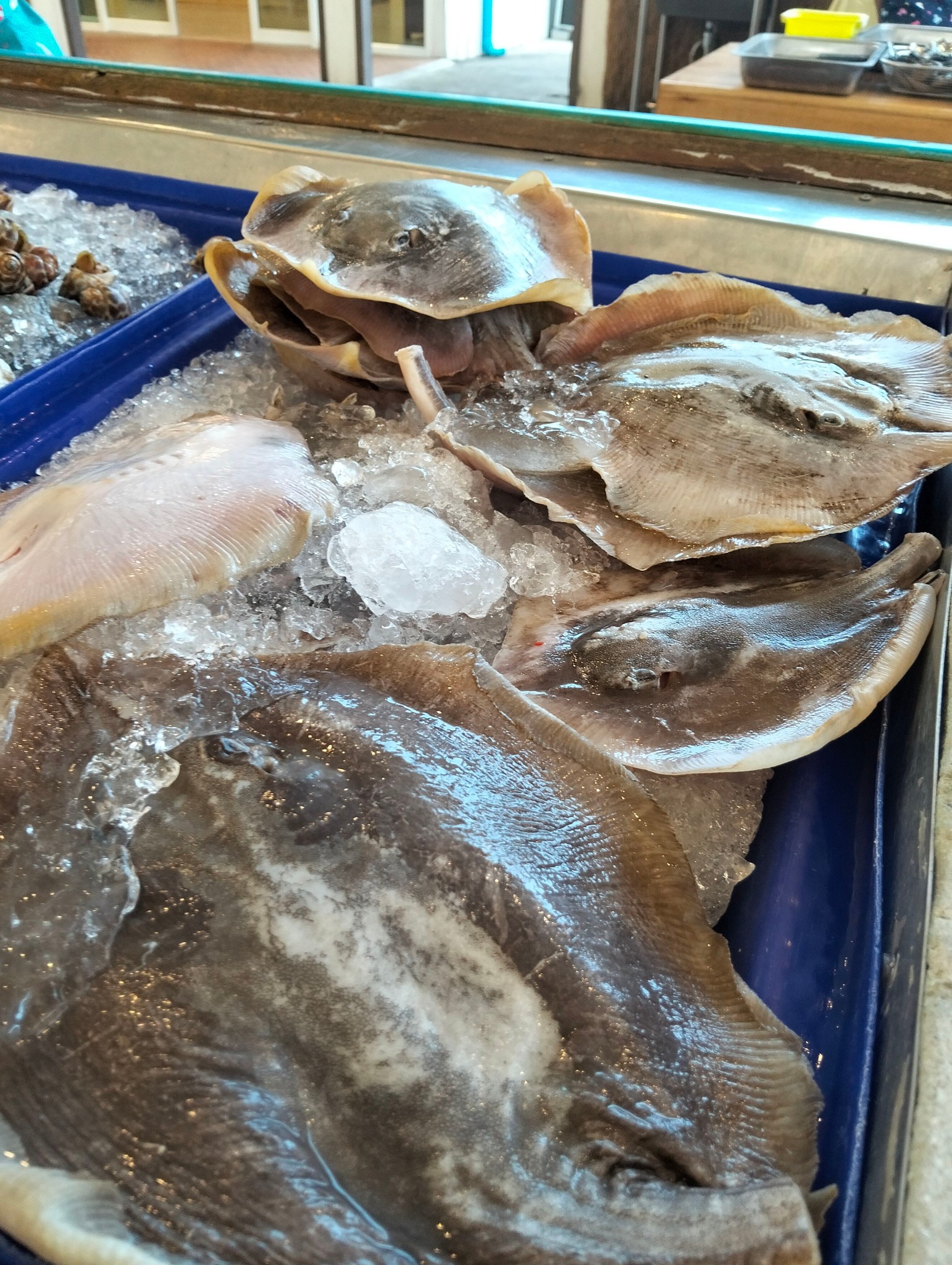 ล่องเล อ่าวนาง ซีฟู้ด Long Lay Aonang Seafood | Krabi