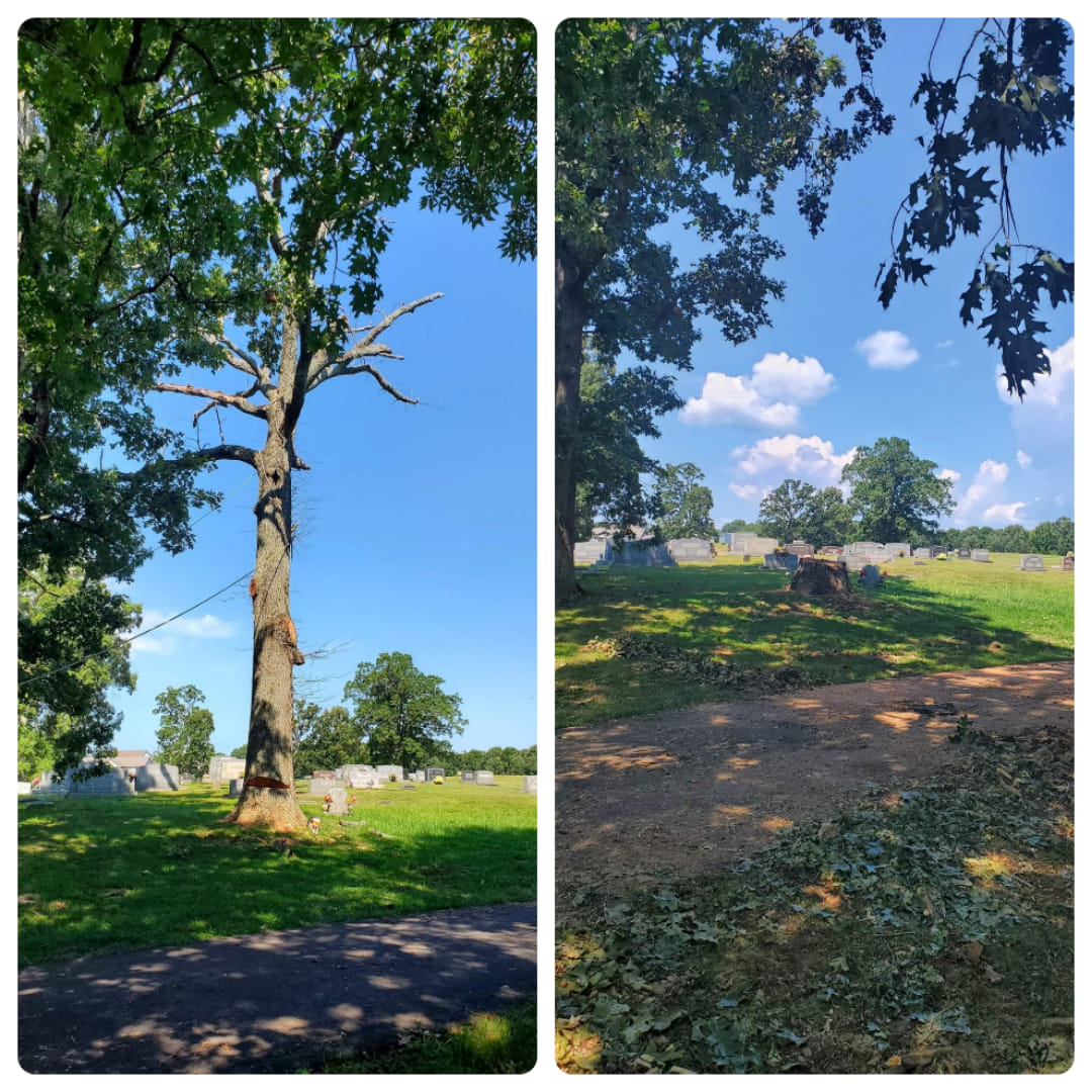 Out on a Limb Tree Service, LLC