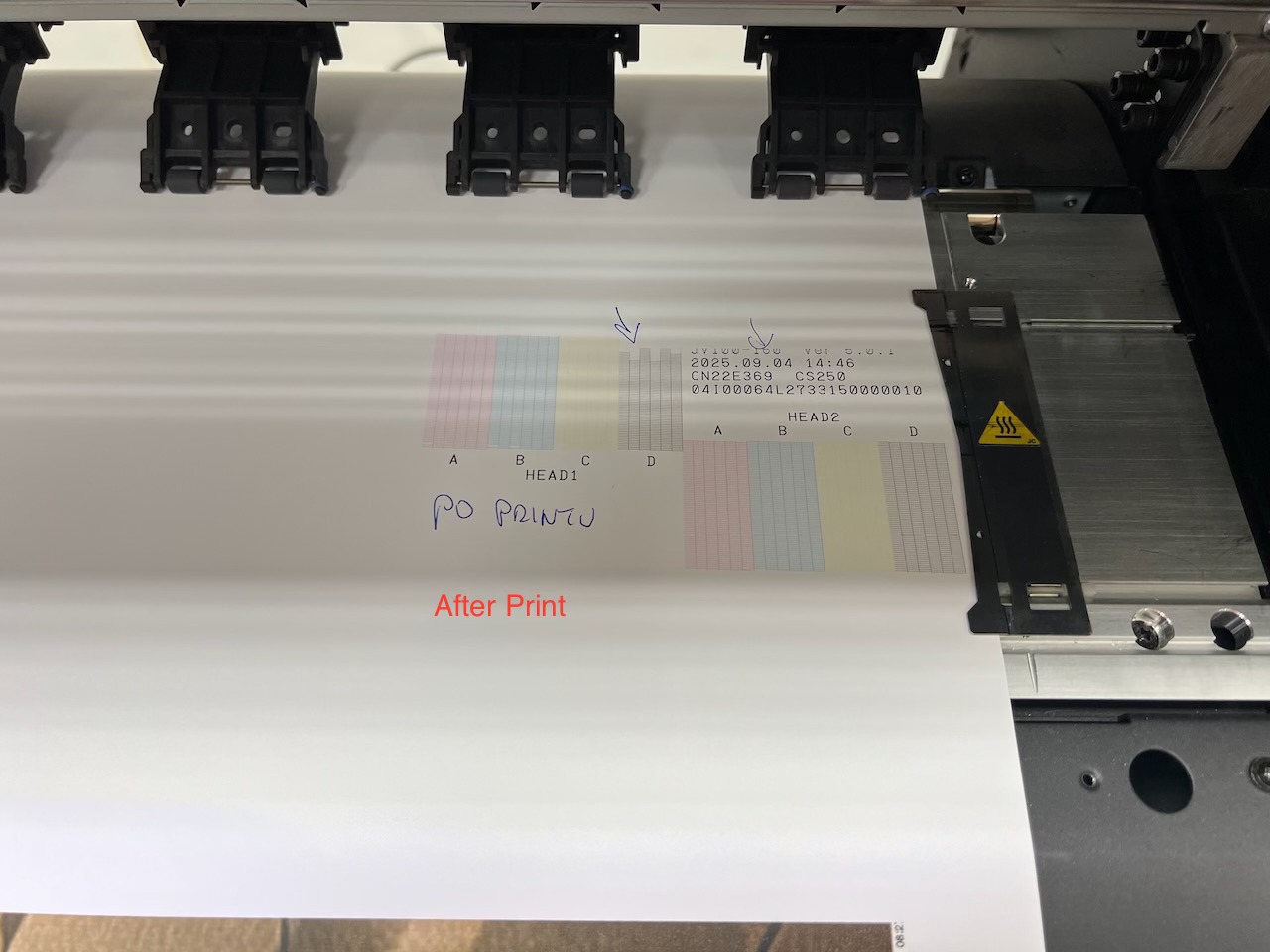I have a problem with a Mimaki JV100-160 using CS250 inks. The