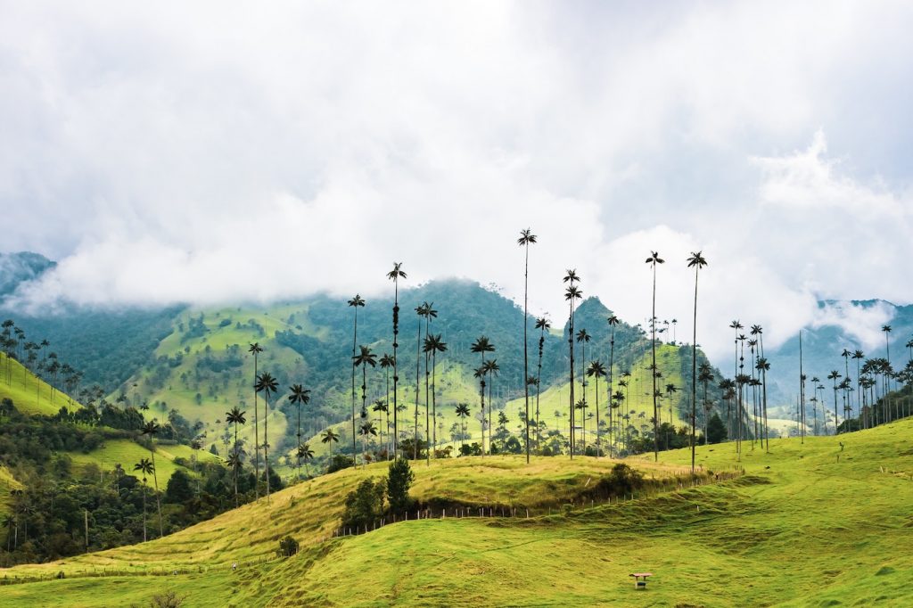 Quindío Mágico - Hospedajes Turísticos | Calarcá