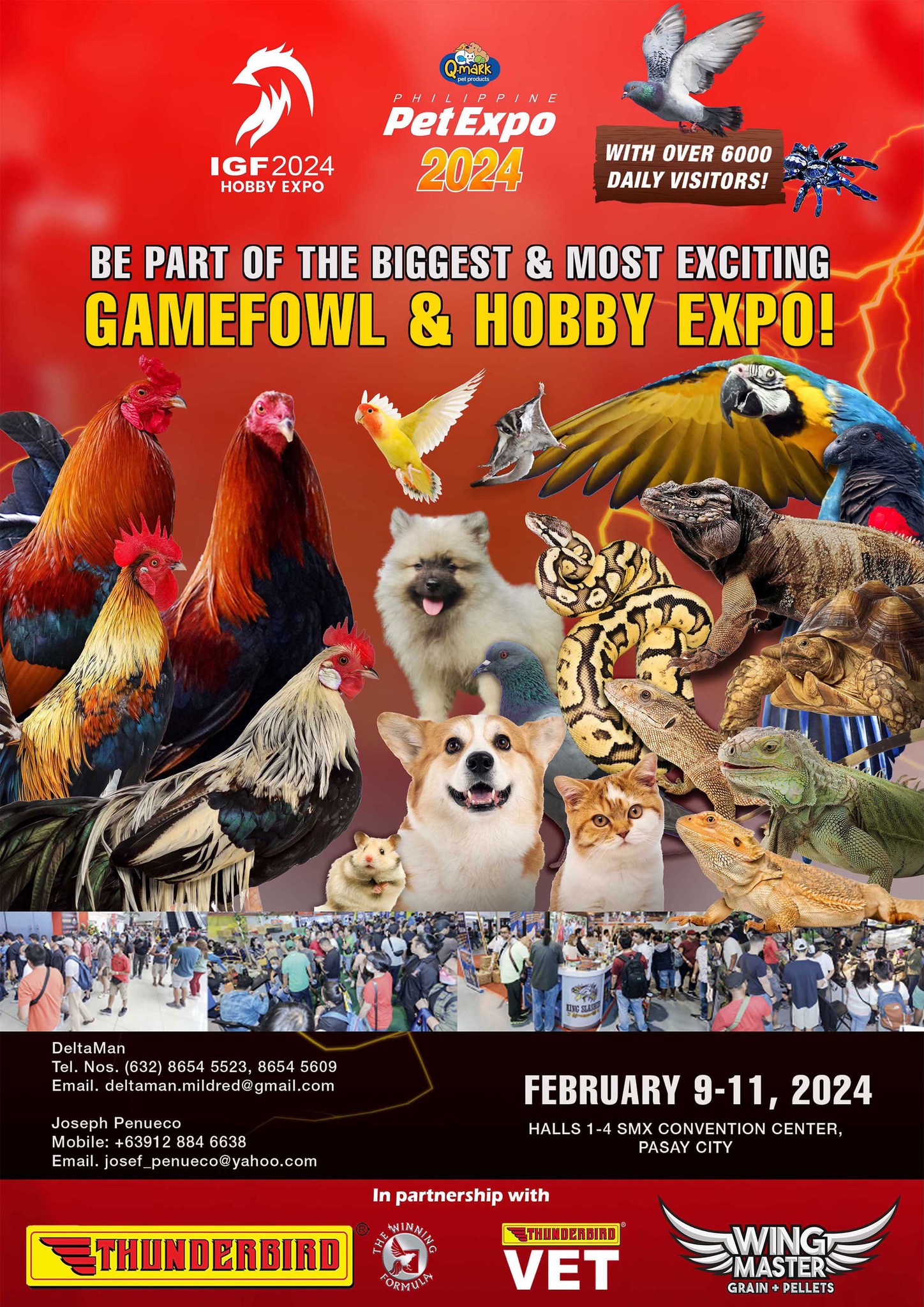 Dive into the world of... - Purebred Warrior Magazine