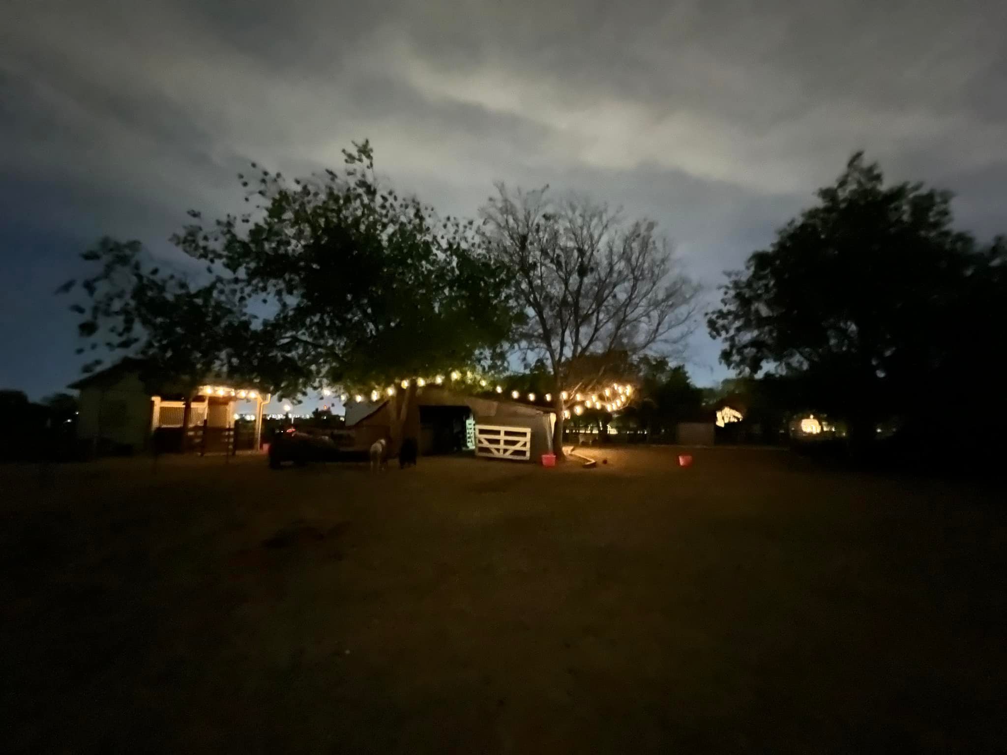 Pink Diamond Ranch