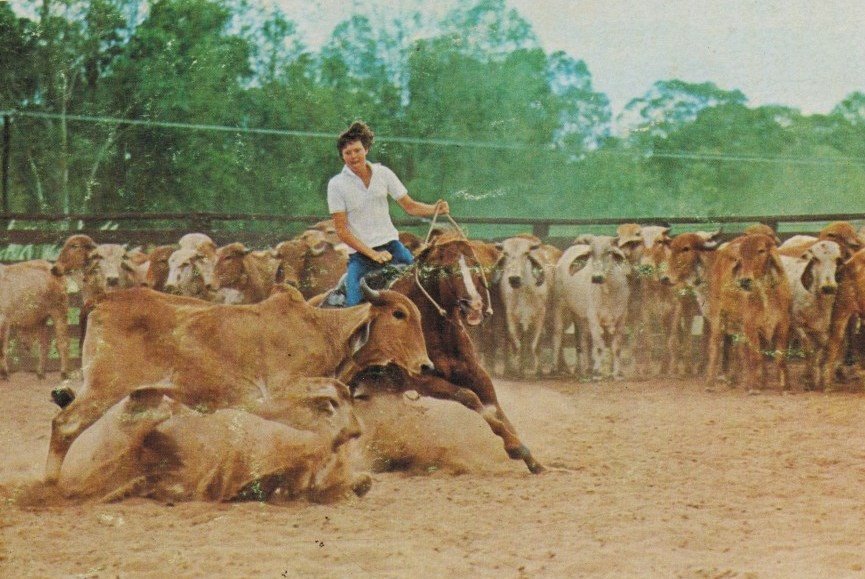 King Ranch Brasil