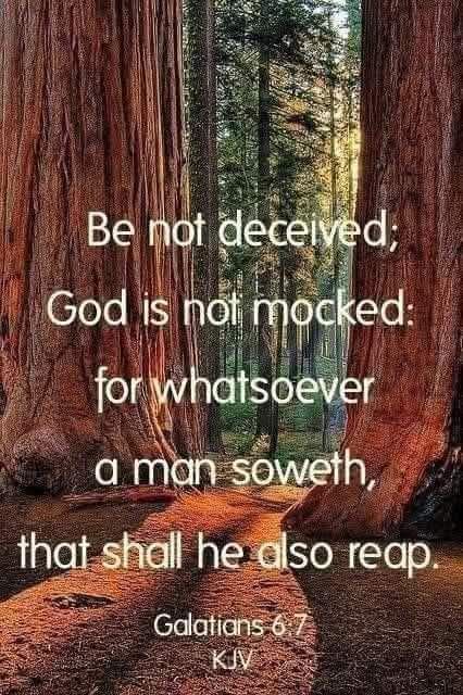 Bible study | STOP SINNING WILFULLY AGAINST GOD BECAUSE FORGIVENESS IS ...