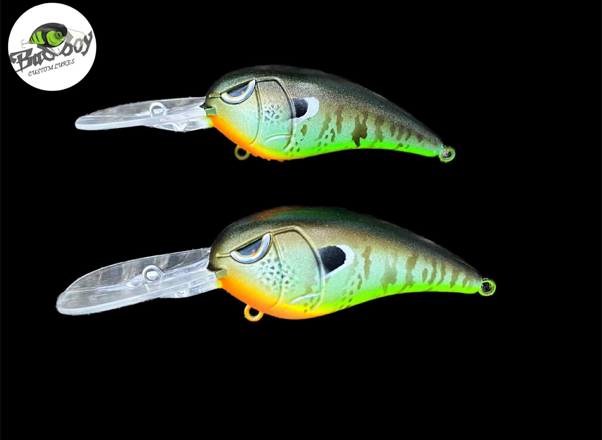 bad boy fishing lures Bucktail  Livingston Available in fresh and saltwater patterns Quality components Same spook walk Heddon Super Spook Boyo Florida