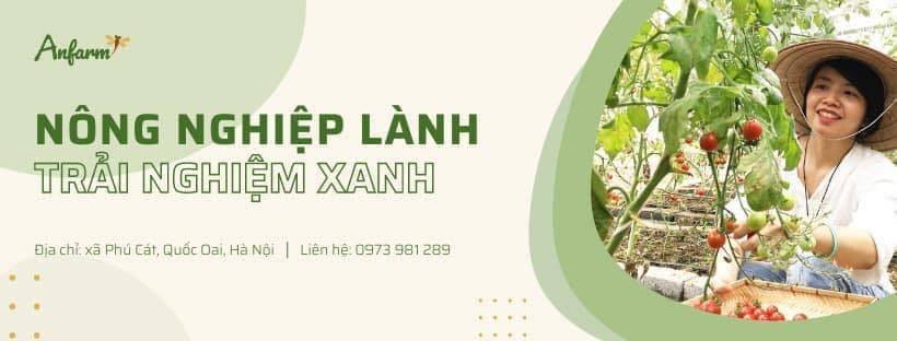 Anfarm.asia - Nông nghiệp lành - Trải nghiệm xanh | Hanoi