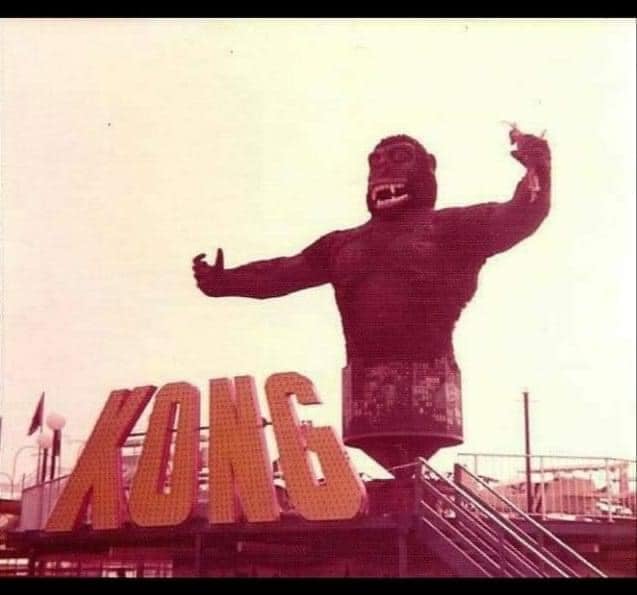 Do you remembers the original KONG? Photo courtesy of the Wildwood