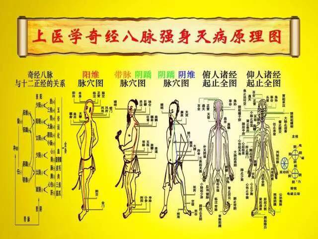 紋道堂 - 奇經八脈是大藥，一治就治一大片！ 奇經八脈是督脈、任脈、衝脈、帶脈、陰維脈、陽維脈、陰蹺脈、陽蹺脈的總稱。它們與十二正經不同，既 ...