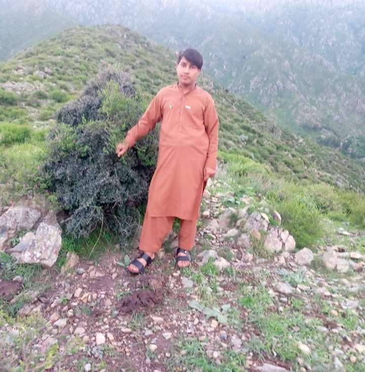 Mehran Khan