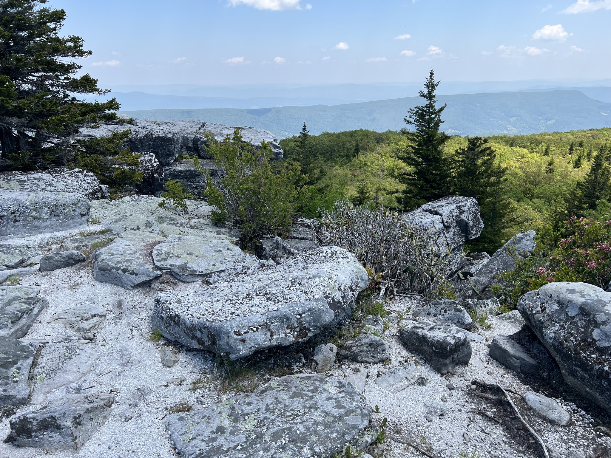 Dolly Sods | Bear Rocks Loop Trail.. | Facebook