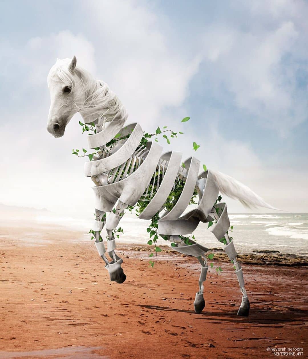 A truly unique and wonderfully... - Photo Manipulation