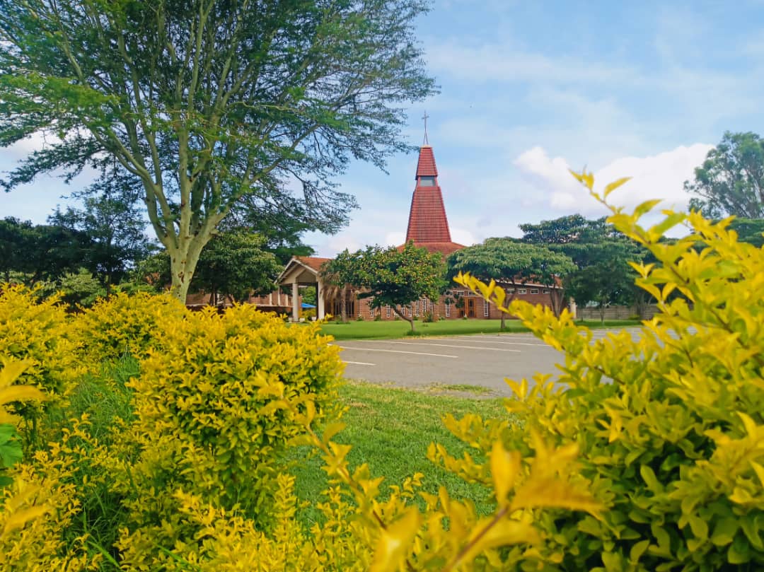 The Catholic... - The Catholic University of Zimbabwe Library