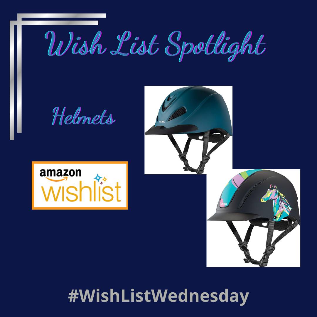 bike helmet donation request Sponsor A & Safety First: Kinoshita students receive