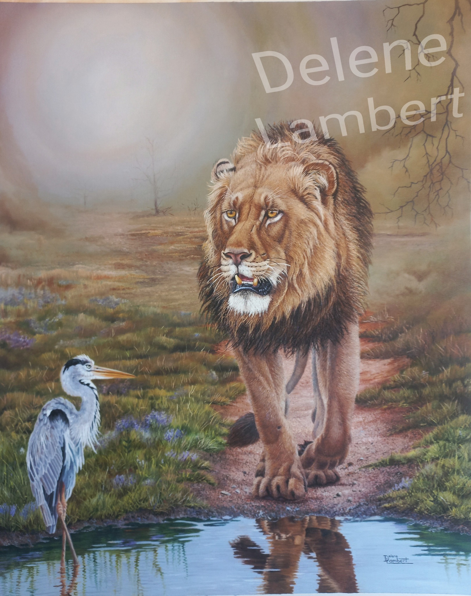 Delene Lambert - Behold 