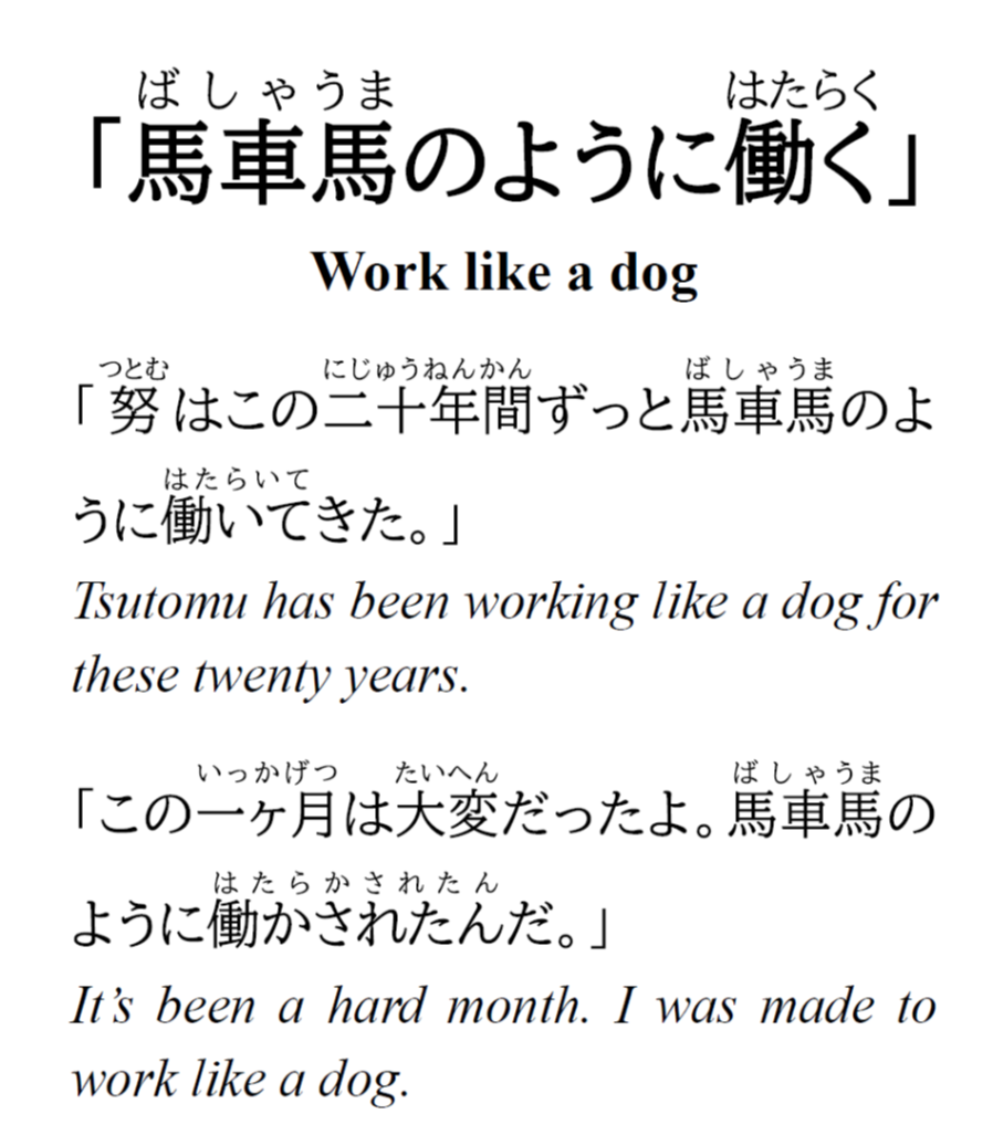 公の場での発言・インタビュー報道記録