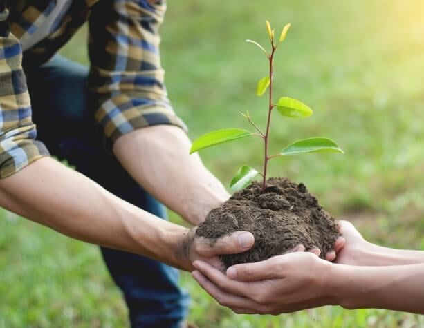 🌱 Reminder: Tree... - Littlehampton Community Association Inc