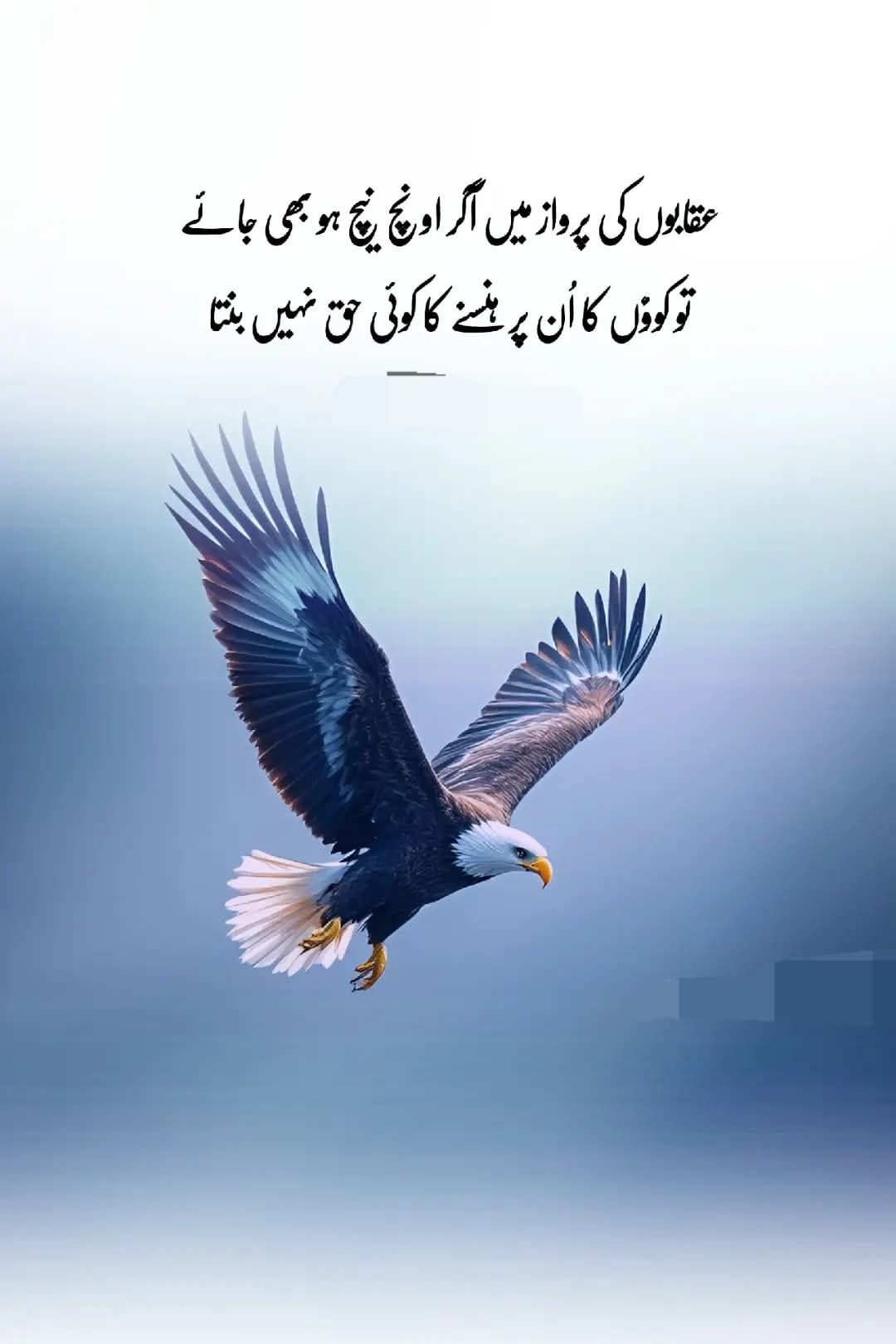Malik Said Rasool Dhap