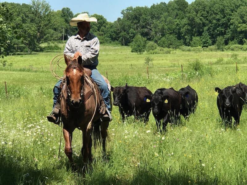 K2 Ranch | Clayton WI
