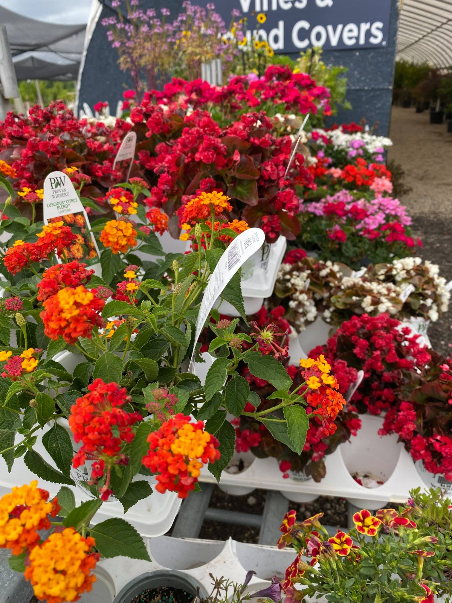 Cottage Gardens Lansing added a... - Cottage Gardens Lansing