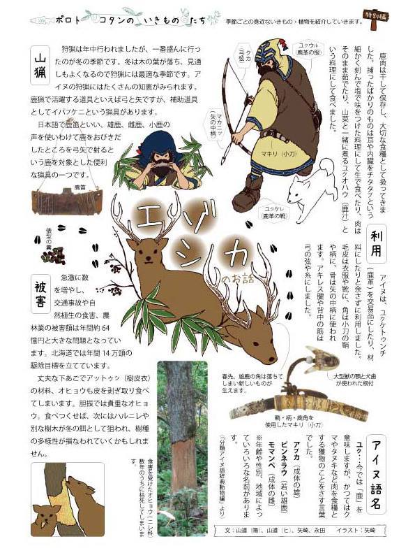 コタンメールが完成しましたので一足先に掲載します 表面はイベント情報を一 アイヌ文化情報オンライン ピリカカンピ Facebook