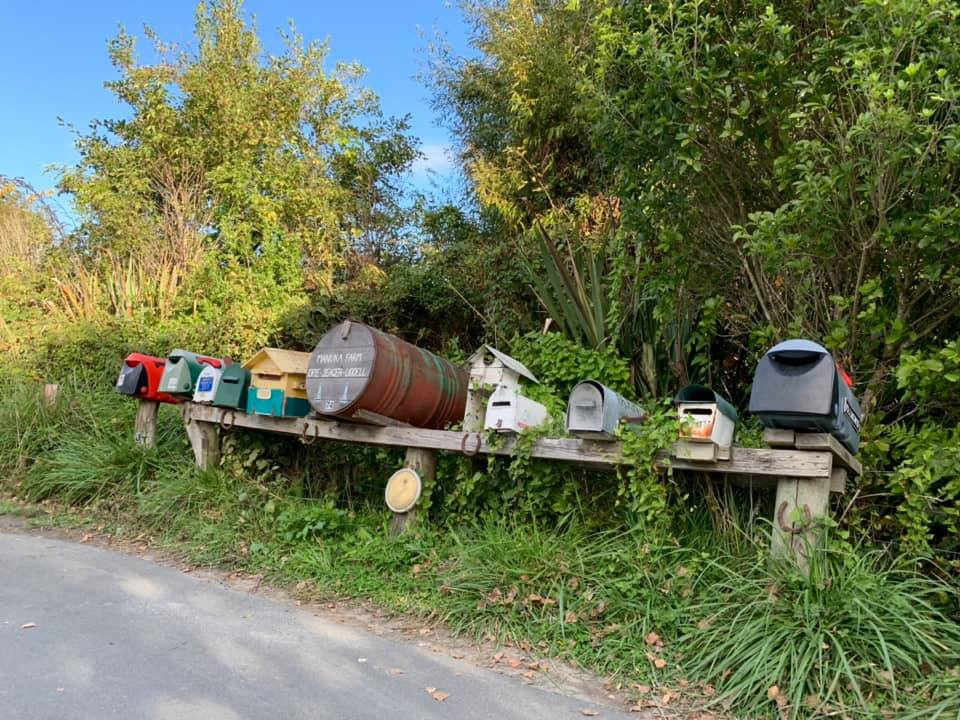 Rural Post Boxes of New Zealand