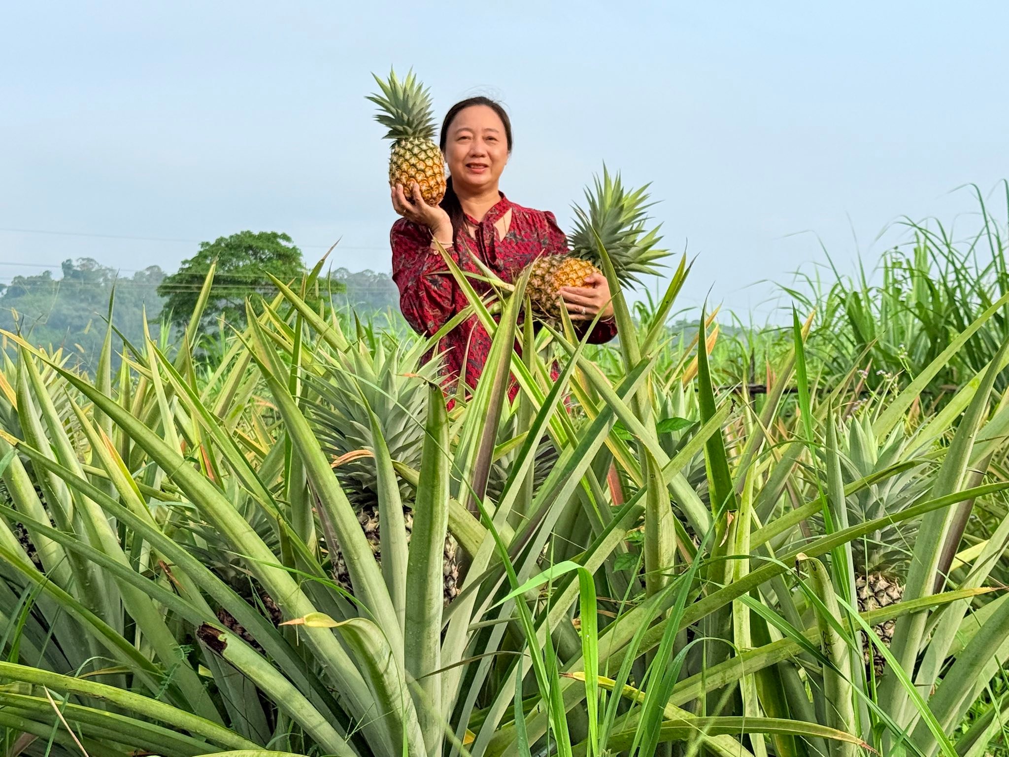 ចម្ការតាសេរី - Ta Serey Farm | Phnom Penh